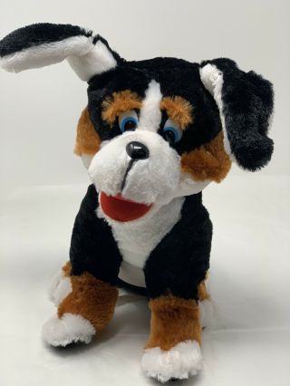 Classic Toy Co Dog Stuffed Animal 11 " Soft Plush Tri - Color Black Brown White