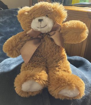 Adorable Honey Teddy Bear Plush (soft,  Cuddly)