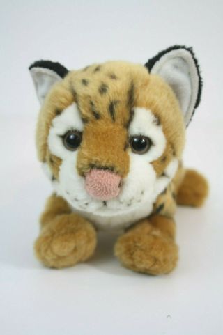 Sos Save Our Space Leopard Plush Stuffed Animal 12 " Long