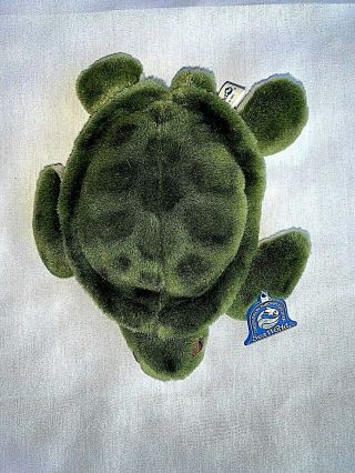 Sea World Green Sea Turtle 8 " Plush Stuffed Animal Toy With Tags