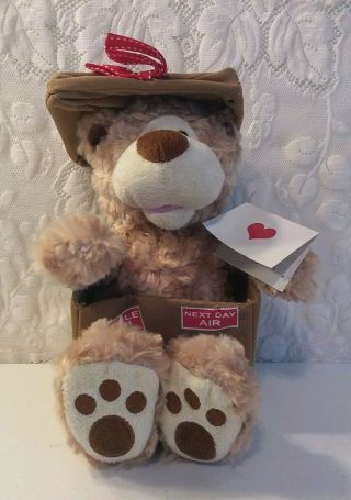 12 " Cuddle Barn Next Day Bear Sings Signed Delivered Valentines Plush