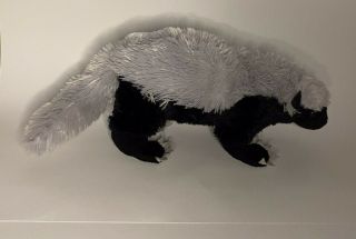Wildlife Artists 12 Inch Honey Badger Plush Stuffed Animal Black Gray Realistic