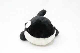 Ganz Orca Killer Whale Black White Webkinz Hm221 Plush 10 " No Code Stuffed