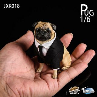 Jxk Studio 1/6 Pug Black Frank Animal Figure Resin Model W/ Clothes Cute Model