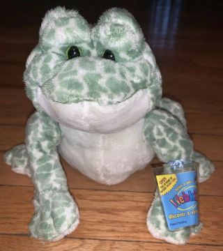 Webkinz Ganz Bull Frog Plush Green Spotted Fat Belly Stuffed Animal Soft Toy