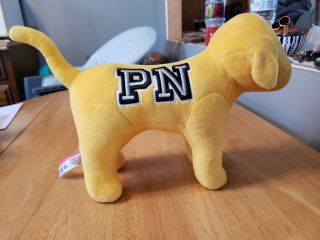 2018 Collectible Victoria Secret Pink Nation Gold/yellow Dog Plush 9 " X13 "