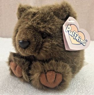 Puffkins Grizwald Bear Cub Beanbag Plush 5 " W/tag 1998 Swibco