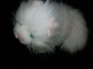 No Code Ganz Webkinz Ganz Plush White Cat Kitten Kitty Cute