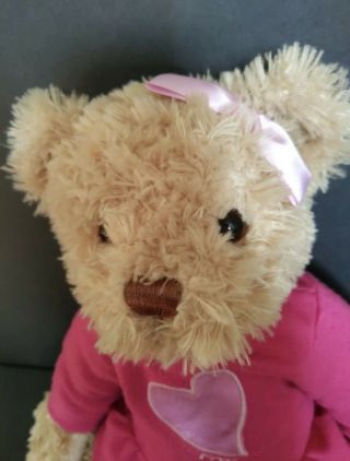 FAO Schwarz Toys R Us Teddy Bear Plush Stuffed Animal in Pink Heart Dress 2012 3