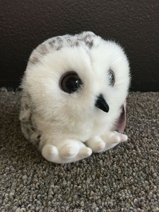 Puffkins Owen The Snowy Owl Plush Animal