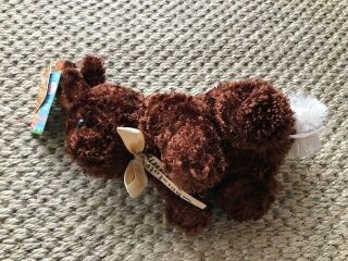 Dan Dee Collectors Choice Chocolate Scented Teddy Bear Plush Gift Stuffed Toy