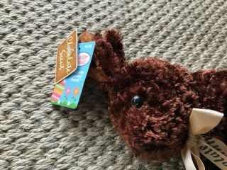 Dan Dee Collectors Choice Chocolate Scented Teddy Bear Plush Gift Stuffed Toy 3