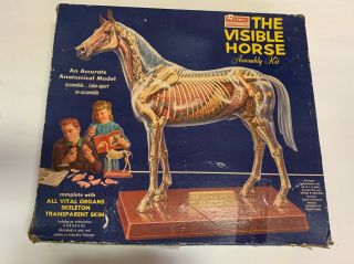 Renwal Products The Visible Horse Assembly Plastic Model Kit 807