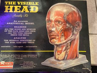 1961 Vintage Renwal (2) The Visible Heads Science Model Kit 805 Parts W/box
