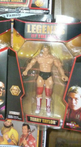 Terry Tayler Tna Wwe Legends Of The Ring Wrestling Figure