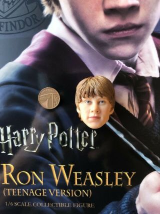 Star Ace Harry Potter Ron Weasley Teenage Ver Head Sculpt Loose 1/6th Scale
