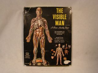 Renwal 1959 The Visible Man Anatomy Model Vintage Mpc Amt Monster Newyork Creepy