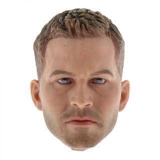 Europe And America Male Head Sculpt With Hair Paul For 1/6 Scale Body Accs