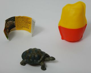 Galapagos Tortoise Turtle Yowie Collectible Toy With Papers And Container