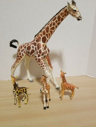 Vintage 1992 Safari Vanishing Wild Reticulated Adult Female Giraffe Rare & Kids