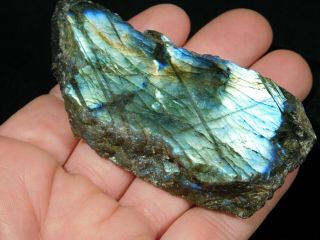 A Bright Blue and Gold Flash on This Cut and Polished Labradorite 112gr 3
