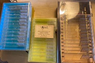 3 Boxes Of Prepared Slides For Microscope Bee/plants/sea Life