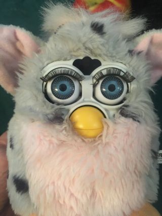 2 Furbys 700 - 80 1st Edition? Black Witches Cat& Pink/grey/spot Tiger Tag 2