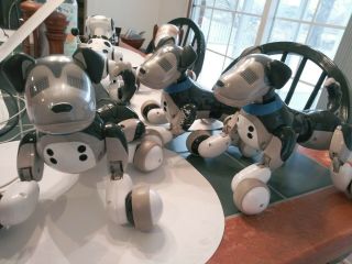 Zoomer ' s Best Friend Shadow Interactive Robotic Dog MSRP $299 3