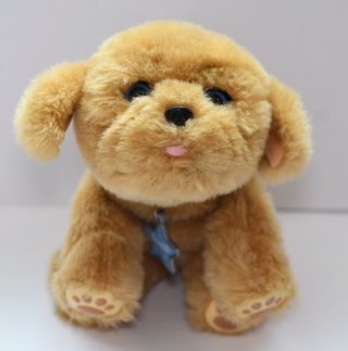 Little Live Pets Snuggles My Dream Puppy Electronic Interactive Plush Dog