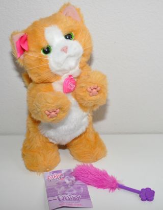 Furreal Friends Daisy Plays - With - Me Kitty Cat Kitten With Toy Complete