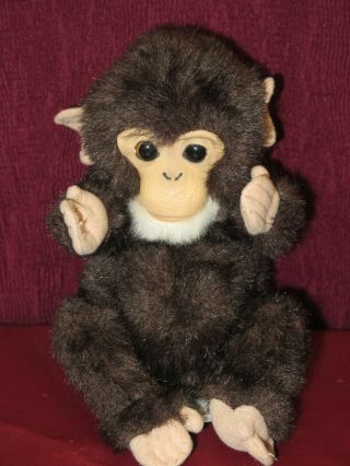 2009 Hasbro Furreal Friends 8 " Newborn Chimp Chimpanzee Baby Monkey