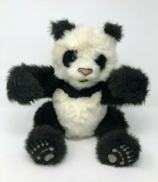 Hasbro Fur Real Friends Furreal Panda Bear Cub Interactive 12 " Plush