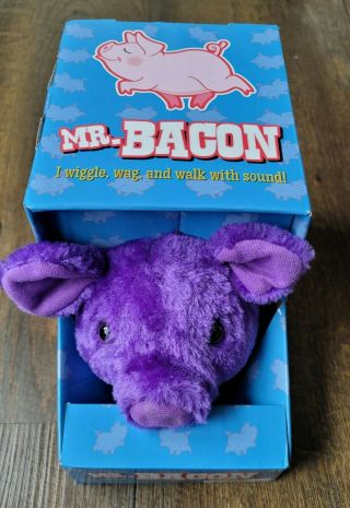Westminster Mr.  Bacon Battery Operated Pig Color Purple Piggy