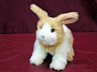 2011 Hasbro Furreal Friends Baby Bunny Rabbit