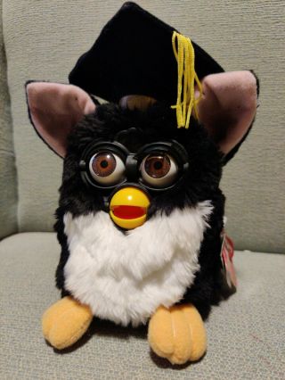 Graduation Furby,  Tiger Electronics,  1999,  Special Limited Edition,  Tag Attached