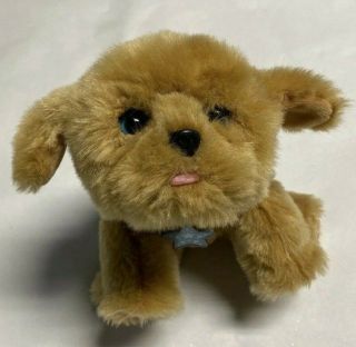 Little Live Pets Brown Puppy Dog Interactive Toy