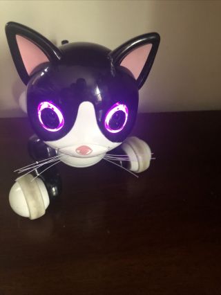 Zoomer Kitty Robotic Cat Charger - Kitty Toy - Notail Spin Master