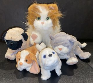 5 Hasbro Furreal Friends Cat Kitten Dog Puppy Seal Fur Real Motion Sound Pets