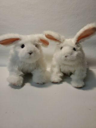 Hasbro Furreal Friends Hop N Cuddle White Bunny Rabbit Interactive Robotic Plush