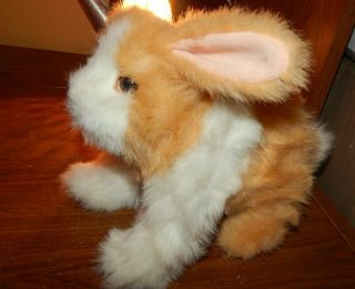 Hasbro Furreal Friends Hop N Cuddle Bunny Interactive Brown White Stuffed Plush 3