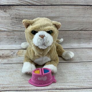 Furreal Friends Interactive Newborn Kitten Cat Tan White Pet Food Dish Batteries