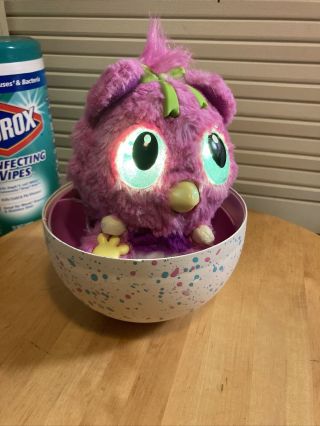 Hatchimals Hatchibabies Cheetree Pink With Egg Shell Lights Up Fast Ship