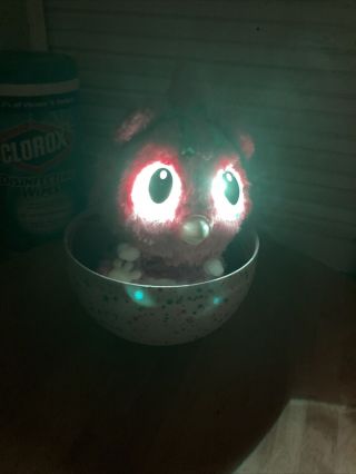 Hatchimals HatchiBabies Cheetree Pink with Egg shell Lights Up Fast Ship 2