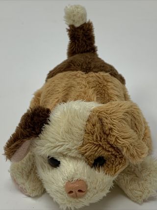 Furreal Friends Snuggimal Puppy Brown & Tan Short Ears Dog Hasbro Newborn