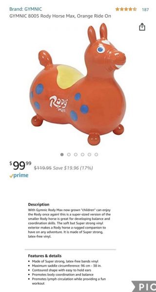 Rody Max Horse Therapy Bounce Ride On 2