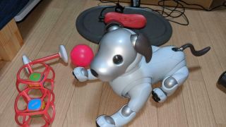 Aibo Ers - 1000 Aibo From Japan