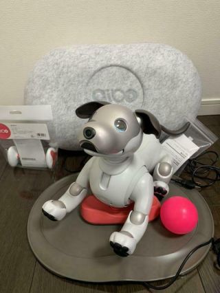 Sony Aibo Ers - 1000 Japan Ivory White Robot Dog World
