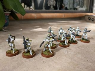 Star Wars Legion Phase 1 Clone Troopers,  Upgrade Expansion Fully Painted