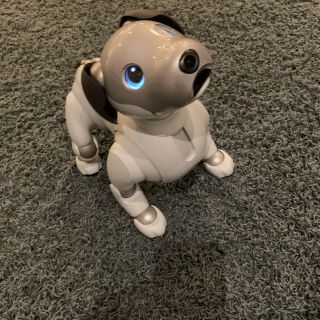 Sony Aibo Ers - 1000 American First Litter Edition.  Flawless,  Cloud - Plan