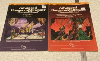 2 Tsr Ad&d 1st Edition Dungeon Modules Ex 1,  Ex2 1993